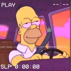 Meet your Posher, Max